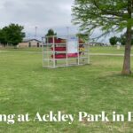 Kayak storage at Ackley Park
